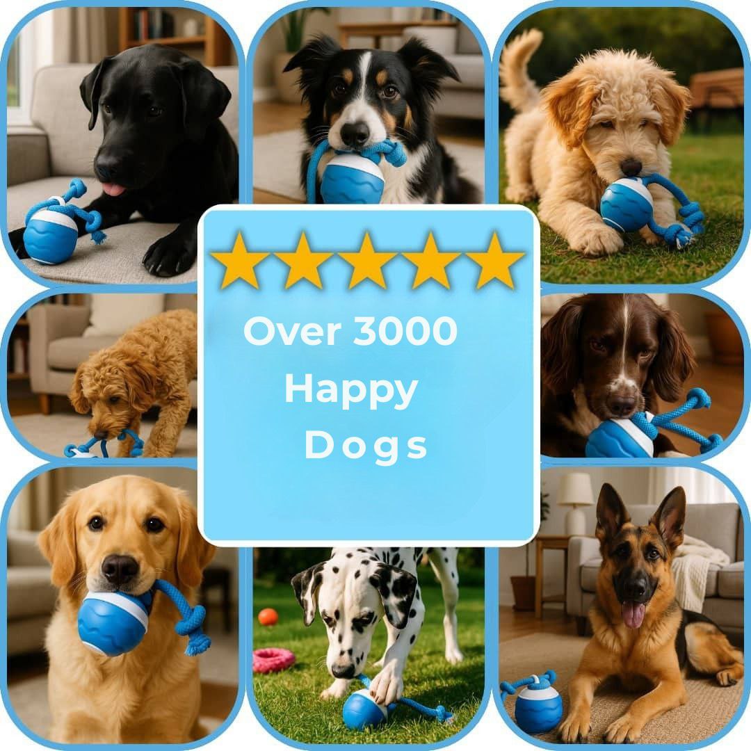 Raspberry Ball - Interactive Dog Toy