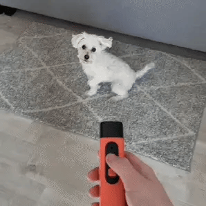 LydLyn | Stop your dog barking with one click
