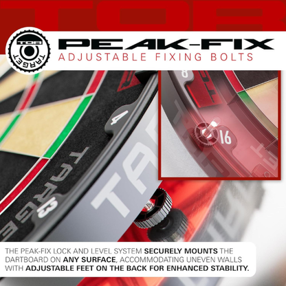 Premium Steel Tip Dartboard for Professional‑Level Play